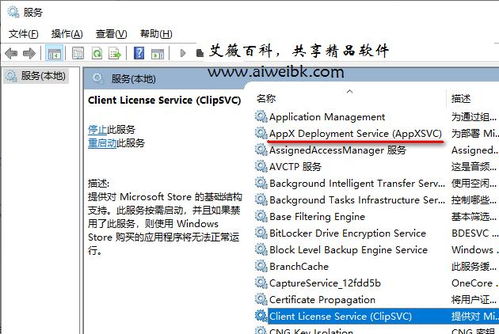 組件服務計算機卡死？解析wsappx進程占用系統資源過多導致電腦卡死的解決方法